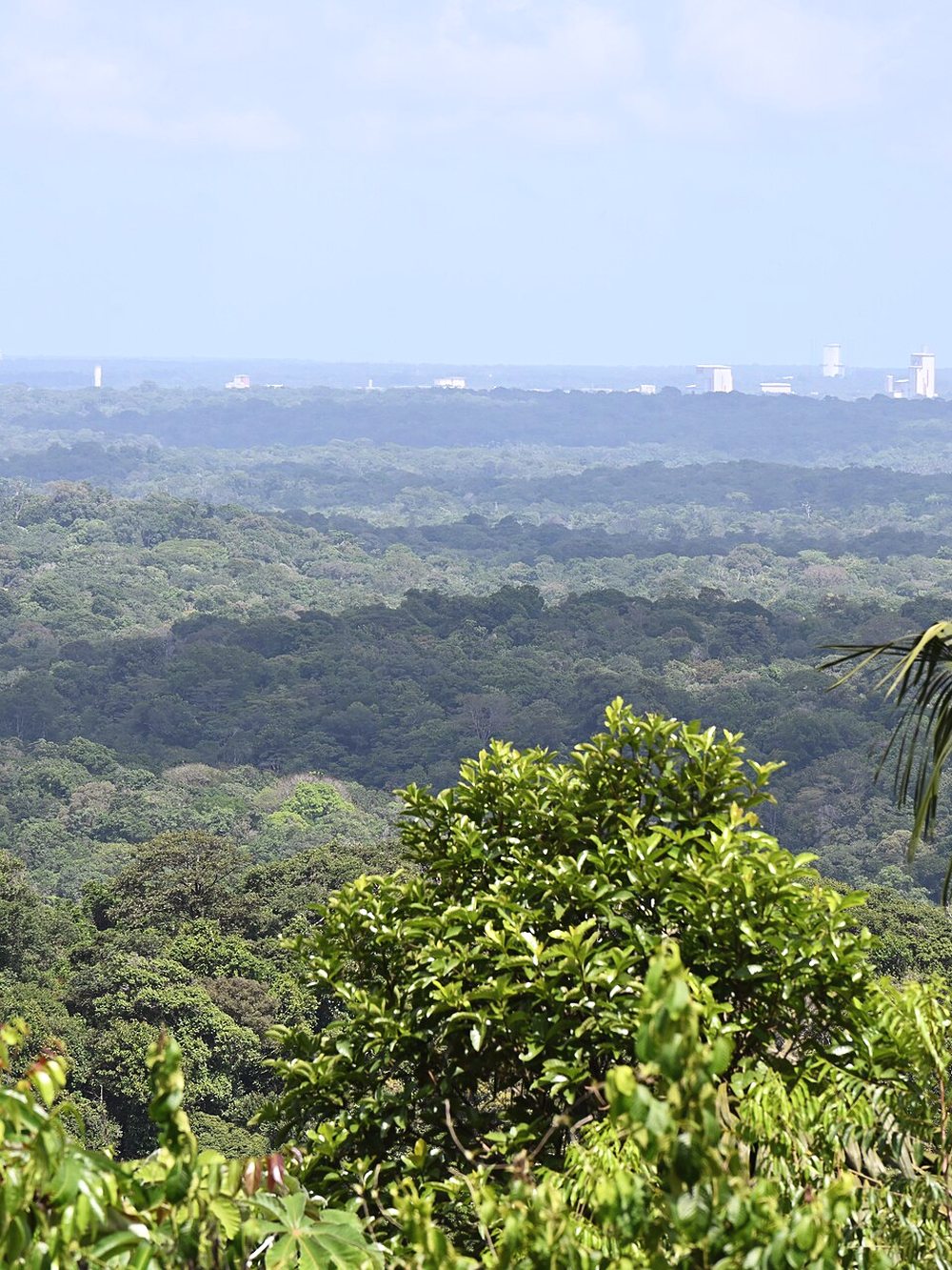 Collines forestières de l'intérieur guyanais