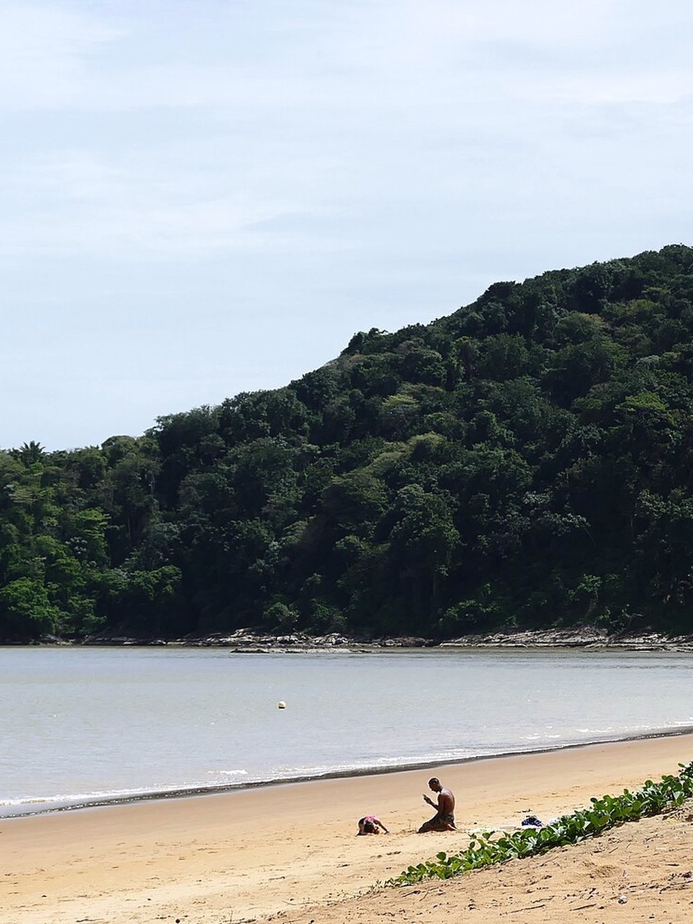 La plage de Montjoly et son promontoire boisé