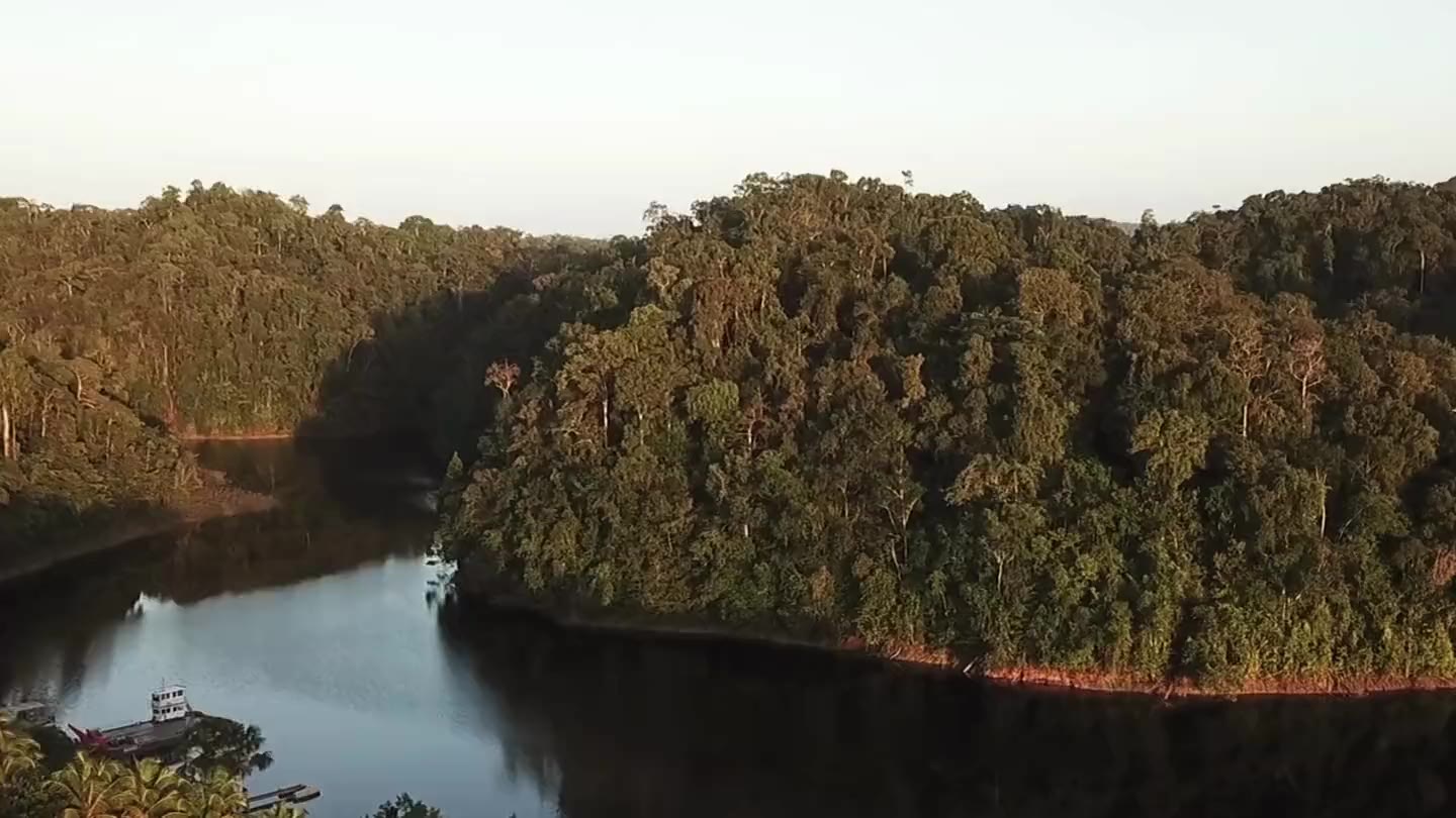 La forêt amazonienne et une crique au couchant, vues du ciel